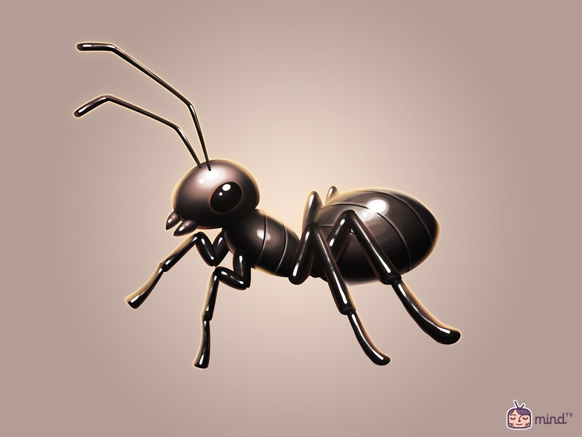 mindTV Fernsehen im Kopf Kopfkino Visualisierung Verlustangst Ameisen